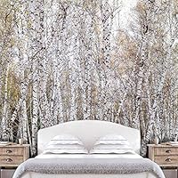 Wall Mural Forest in Fog Removable Self-Adhesive Wallpaper Wall Decoration for Bedroom Living Room - 66x96 inches