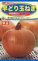 玉ねぎ様 77b5115f43384b90ff3befbf2474f3