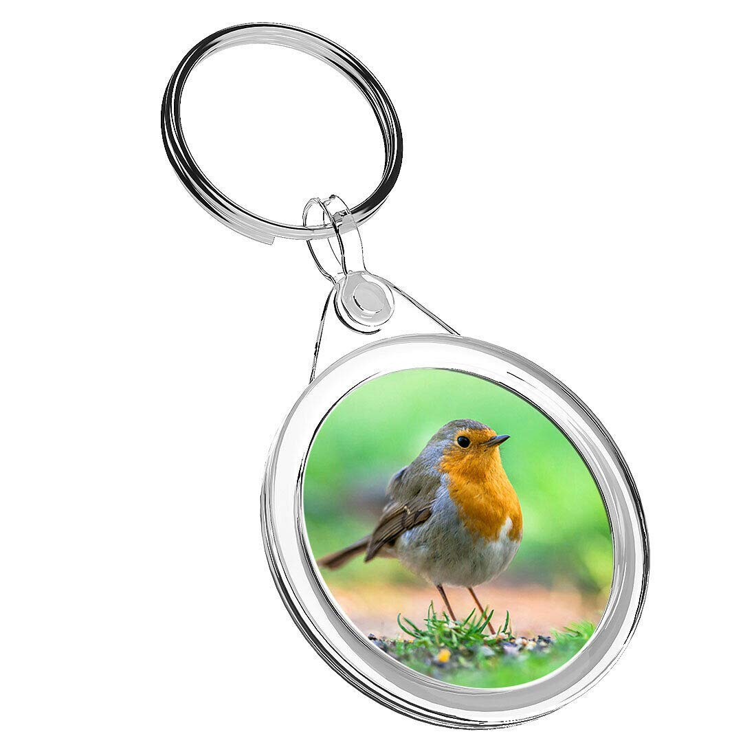 Destination Vinyl Keyrings Unisex Kids Multi 1 X Cute Beautiful Red Robin - Keyring Ir02 Mum Dad Kids Birthday #15509
