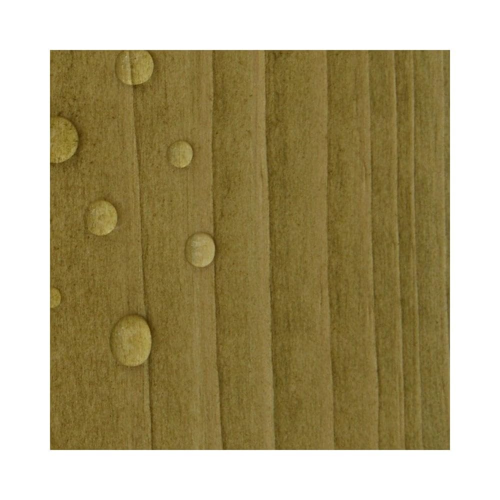 Protek Timber Eco Shield - Pale Green 1 Litre