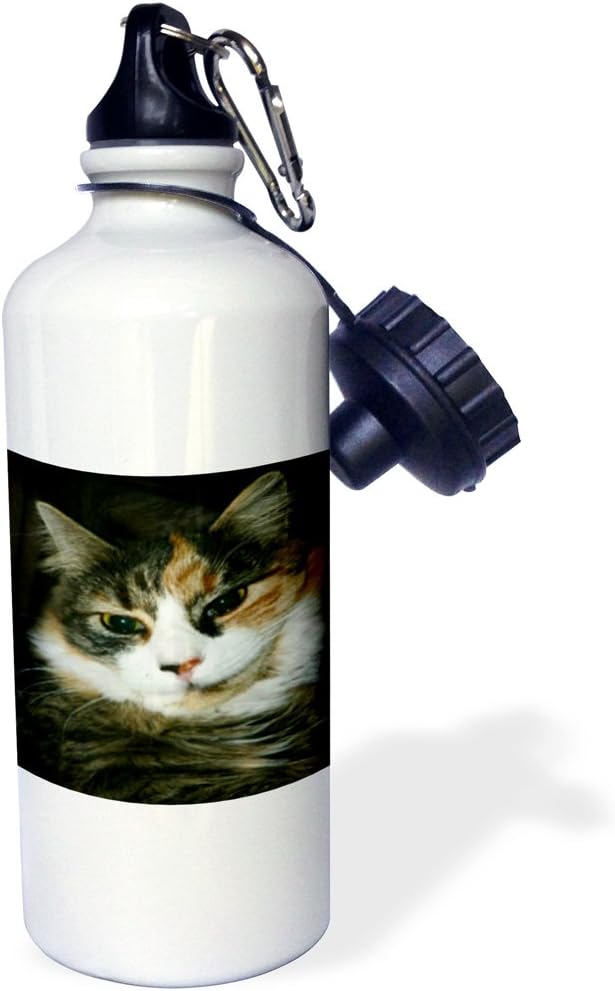3dRose "Calico Cat Closeup" Sports Water Bottle, 21 oz, White