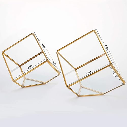 Miniatura 2 de ELEGANTLIFE Terrario geométrico de cristal para plantas suculentas, macetas de aire para decoración del hogar, jardín y oficina (juego de 2 cubos