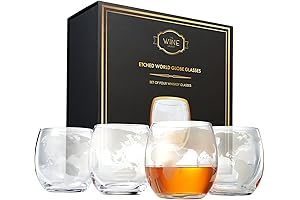 4-piece Etched World Globe Glasses