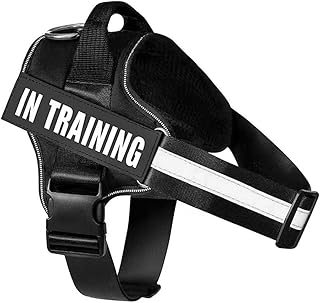 FDEETY Harnais pour Chien Anti Traction Réglable Ceinture de Poitrine avec Attache Devant Boucle Facile à Mettre Réfléchissant Randonnées Chasse Arnet Harnais pour Petit Moyen Grandes (XL)