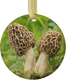 Morel Mushroom Ornament, Food Ornament Christmas Food Tree Decoration for Christmas Tree - Ceramic Double Side Printed 2.75 Inch
