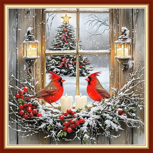 Image of Funxvoot Stamped Cross Stitch Kits for Beginners or Adults Embroidery Starter Patterns | DIY Printed Cross Stitch Kits Needlepoint for Adults or Kids 11CT-Christmas Bird Snow Scene 18x18 inch