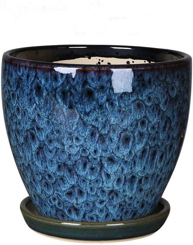 Grand pot de fleurs rond avec trou de drainage et plateau pour succulentes