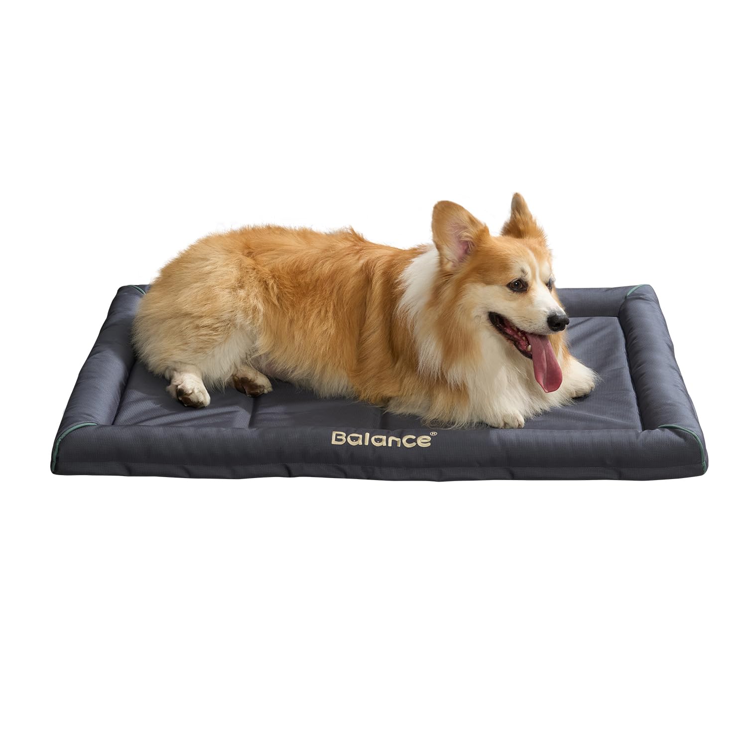 BALANCE Oxford Dog Bed for Extra Large Dogs, Waterproof Dogs Crates Pad Outdoor XL Dog Crate Mat, Wipe Clean & Easy Rinse, 42 inch