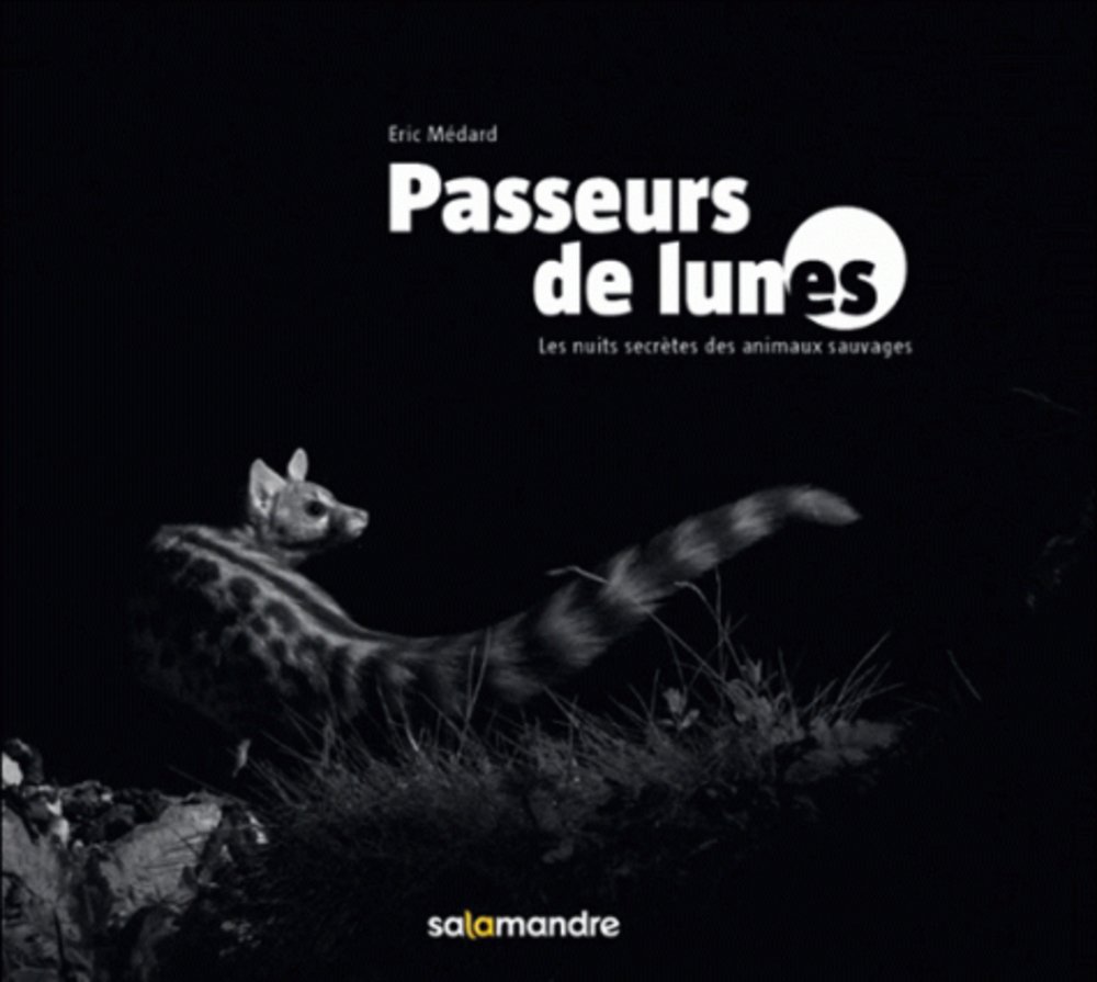 Passeurs de lunes un voyage onirique et touchant pour s'évader