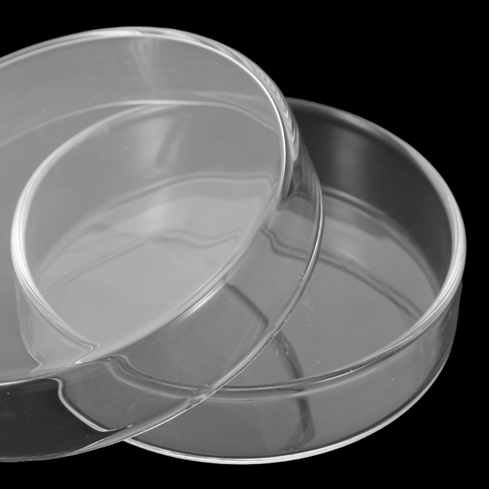 Lot de 5 Boîtes de Pétri en Verre Borosilicaté Haute Résistance, Design Fiable et Pratique, pour Expériences Scientifiques et Culture Cellulaire en Laboratoire