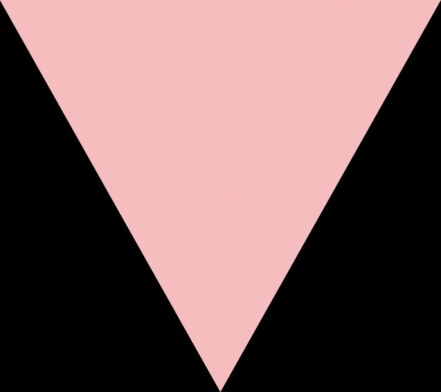 MESHELL NDEGEOCELLO ME'SHELL NDEGÉOCELLO - Ventriloquism - Disque CD