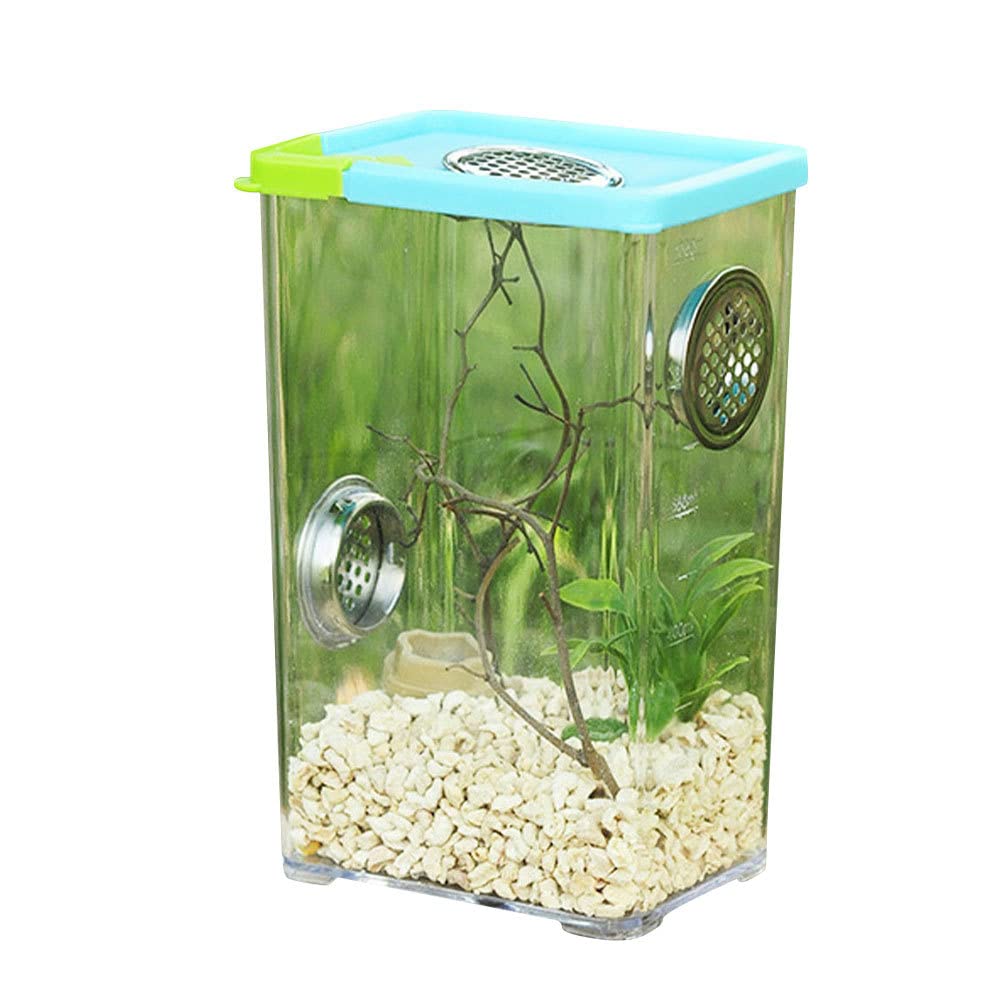 Pomurom 1 Acrylic Reptile Terrarium Cage For Spiders, Scorpions, Praying Mantises, Small Snakes And Other Reptiles