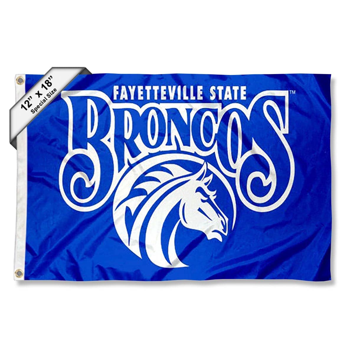 Fayetteville State Broncos Boat and Nautical Flag