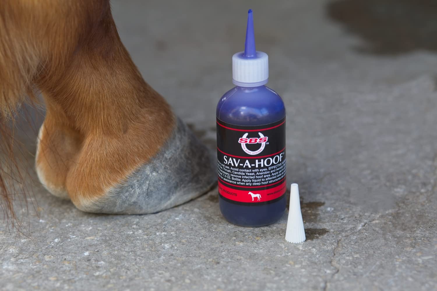 SBS Equine | SAV-A-HOOF Gel II | Hoof Treatment | Long-Lasting Time Release Formula | No Messy Waste or Run-Off (4 Fluid Oz) - image 2