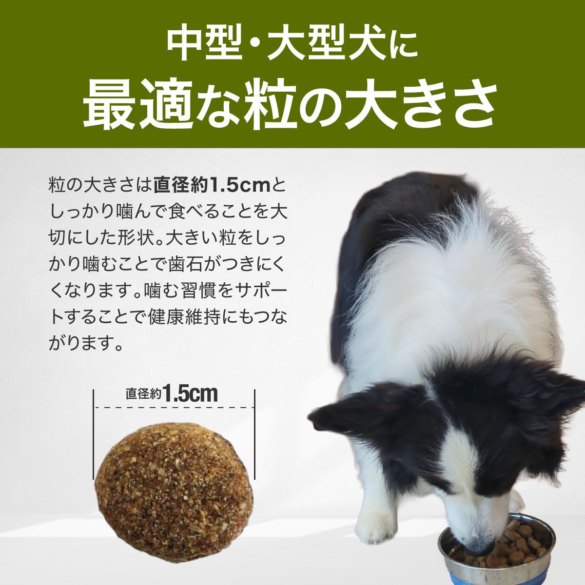 ドッグランド　DOG LAND アダルト　成犬用　15キロ Amazon.co.jp: DOGLAND ドッグランド アダルト 中型 大型成犬 向け