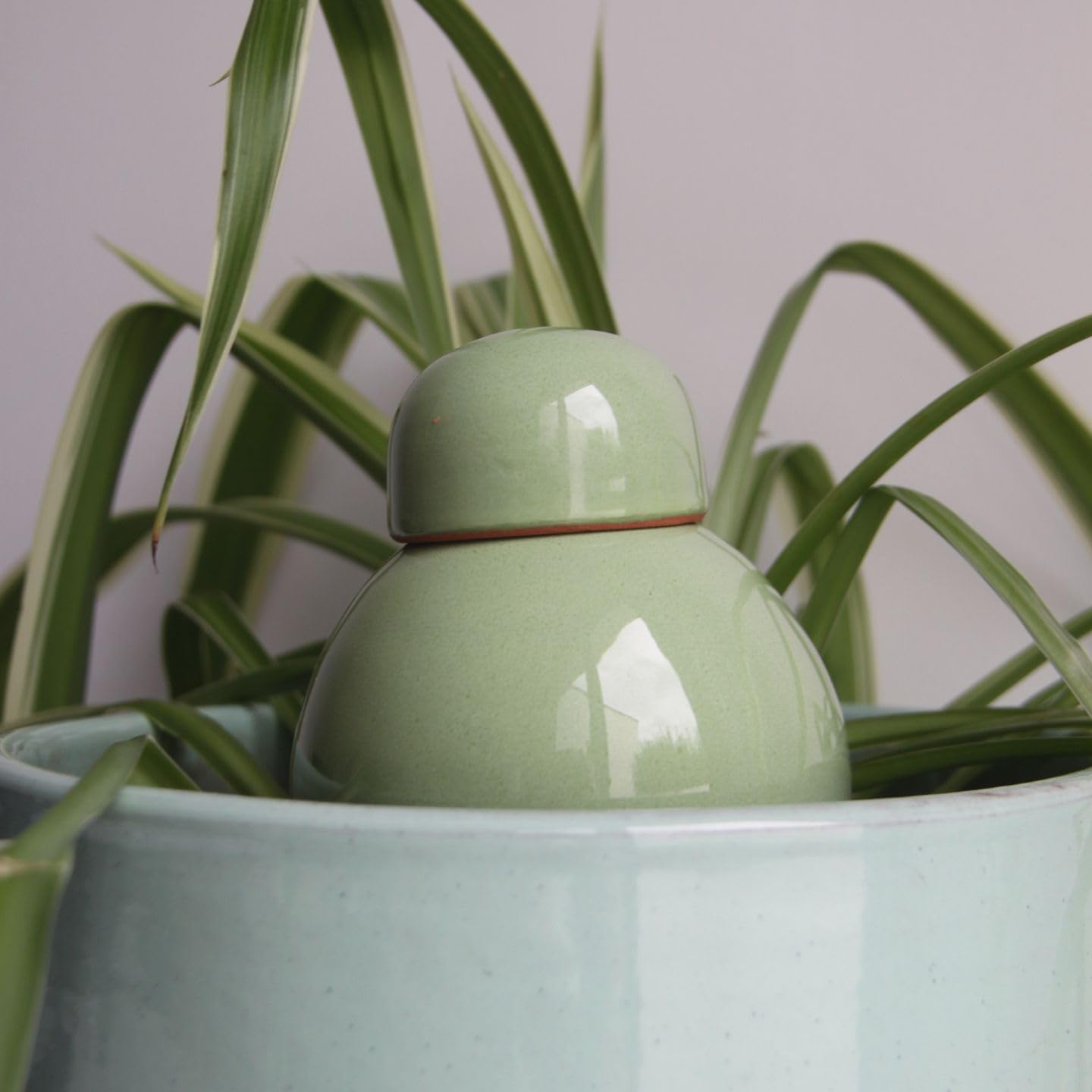 Ollas Lutton Olla Terre Cuite à Planter 40cl| Arrosage Autonome pour Plantes d'interrieur Ecologique & Economique | Système d'Irrigation Naturel | Autonomie 3 Jours | Ollas Sabeur Pistache