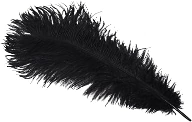 Treasure Gurus Black Dyed Long Ostrich 
