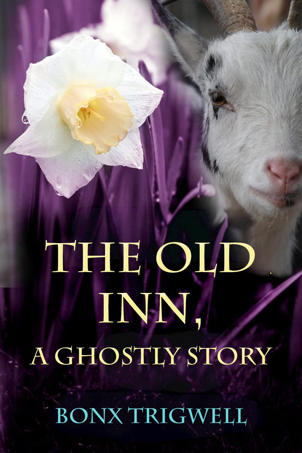 The Old Inn, A Ghostly Story: Second edition