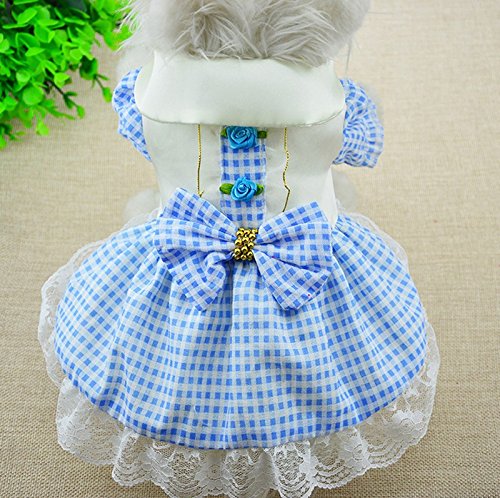 Valoxin(TM 2016 vestiti di New Spring cane di