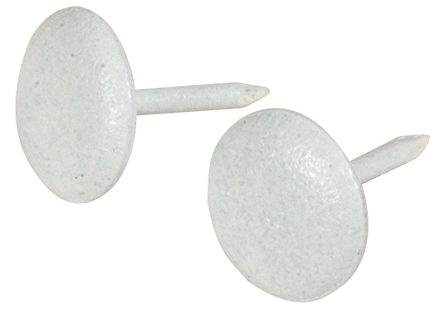 Upholstery and Furniture Nail