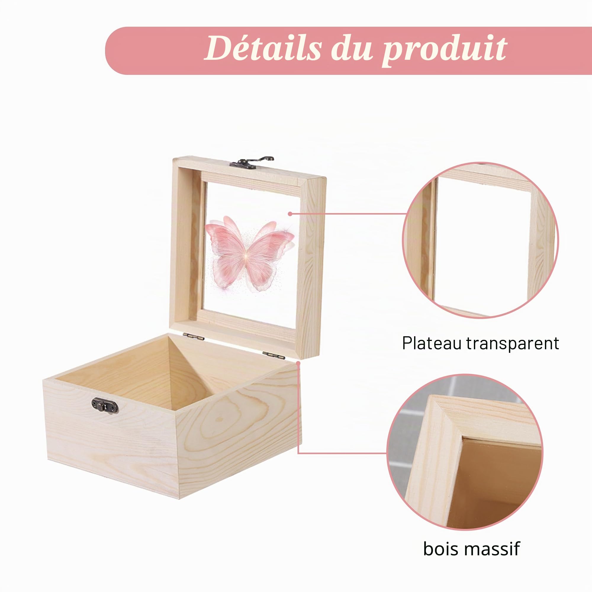 Kit D'outils pour Spécimens D'insectes 4 Boîtes en bois 10 Feuilles de papier calque 200 épingles à insectes 2 Planches de Montage Papillon en Mousse EVA pour Collecte