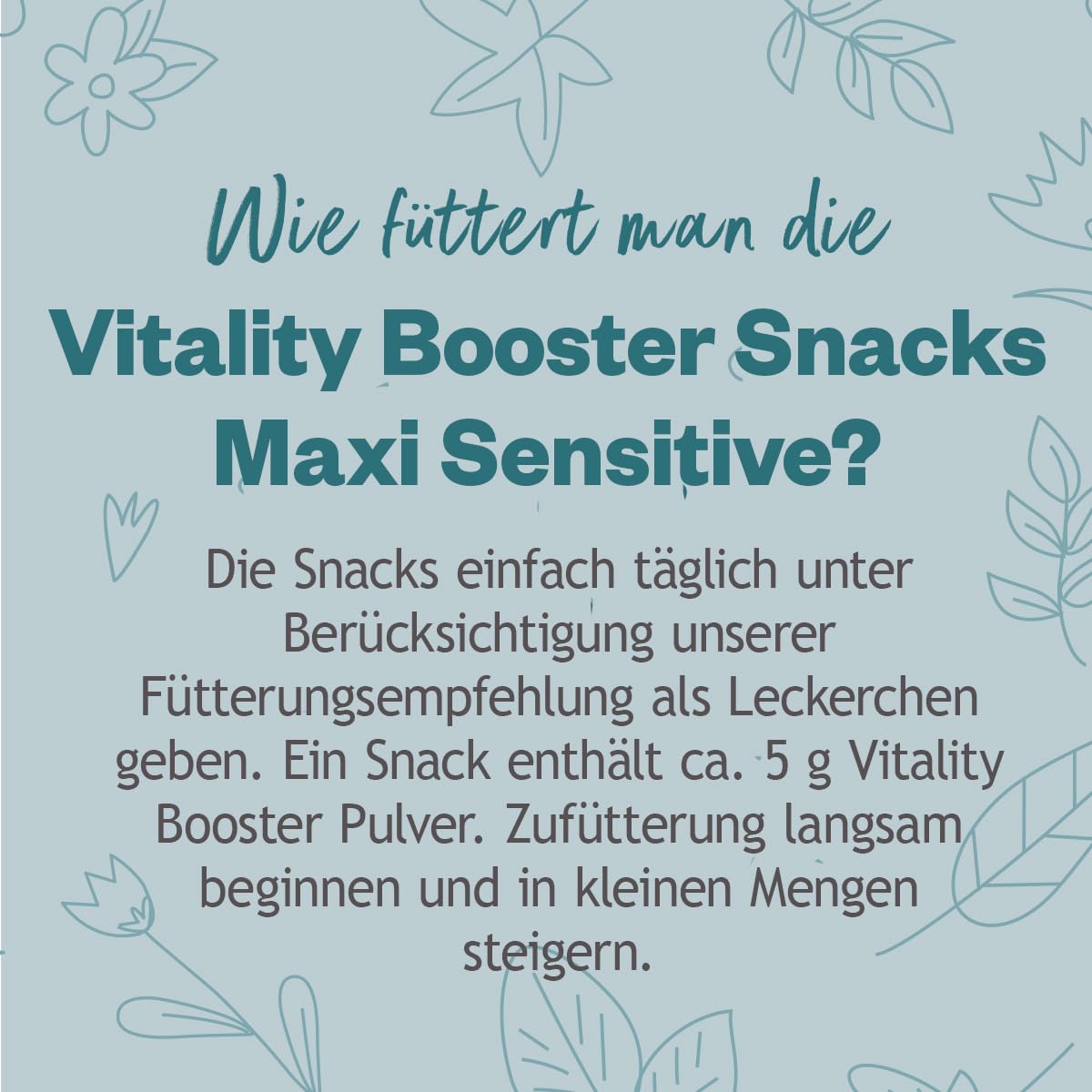 Grau - das Original - GRAU - Hokamix Vitality Booster Snack Maxi Sensitive, 1er Pack (1 x 4,5kg), Ergänzungsfuttermittel für Hunde