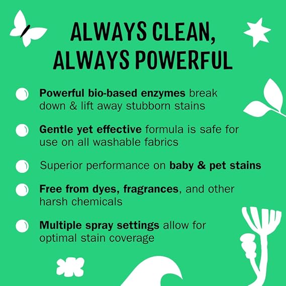 Molly's Suds Stain Remover Spray | Gentle Yet Powerful, Great for Baby & Pet Stains | Clean, Simple Ingredients (Fragrance Free) (16 Fl Oz (Pack of 2))