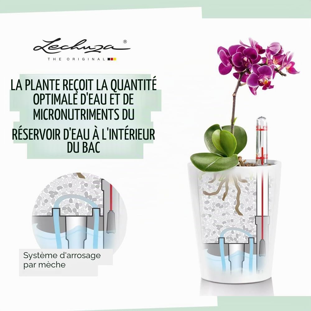 Lechuza – Pot de Fleurs d'Interieur – Deltini – Réserve d'Eau Intégrée – Coloris Taupe – Ø 14 x 18 cm