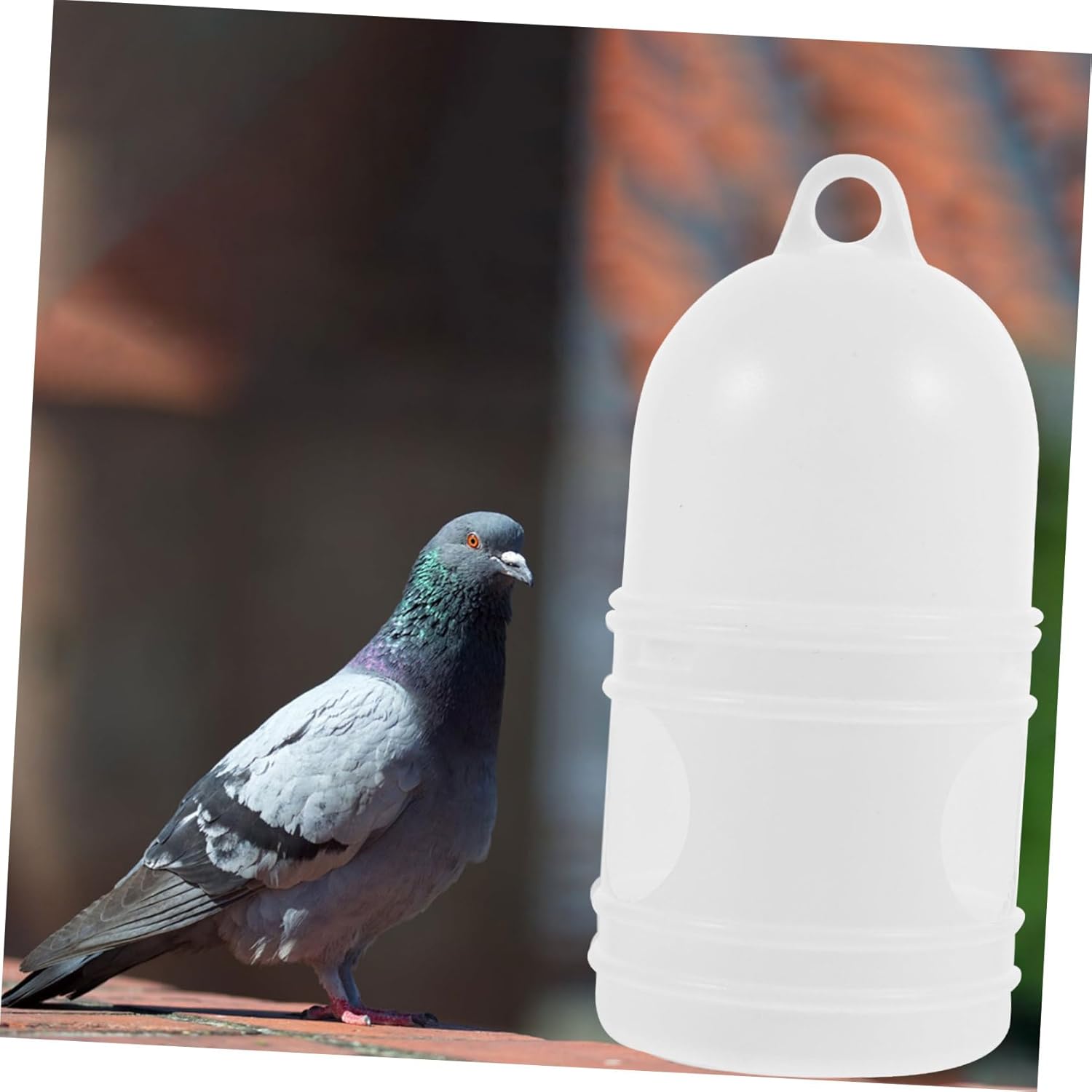 2Pcs Portable Bird Feeder Plastic Pigeon Water Dispenser Durable Quail Waterer for Pigeons Doves and Parrots Bird Watering Supplies for Home Use