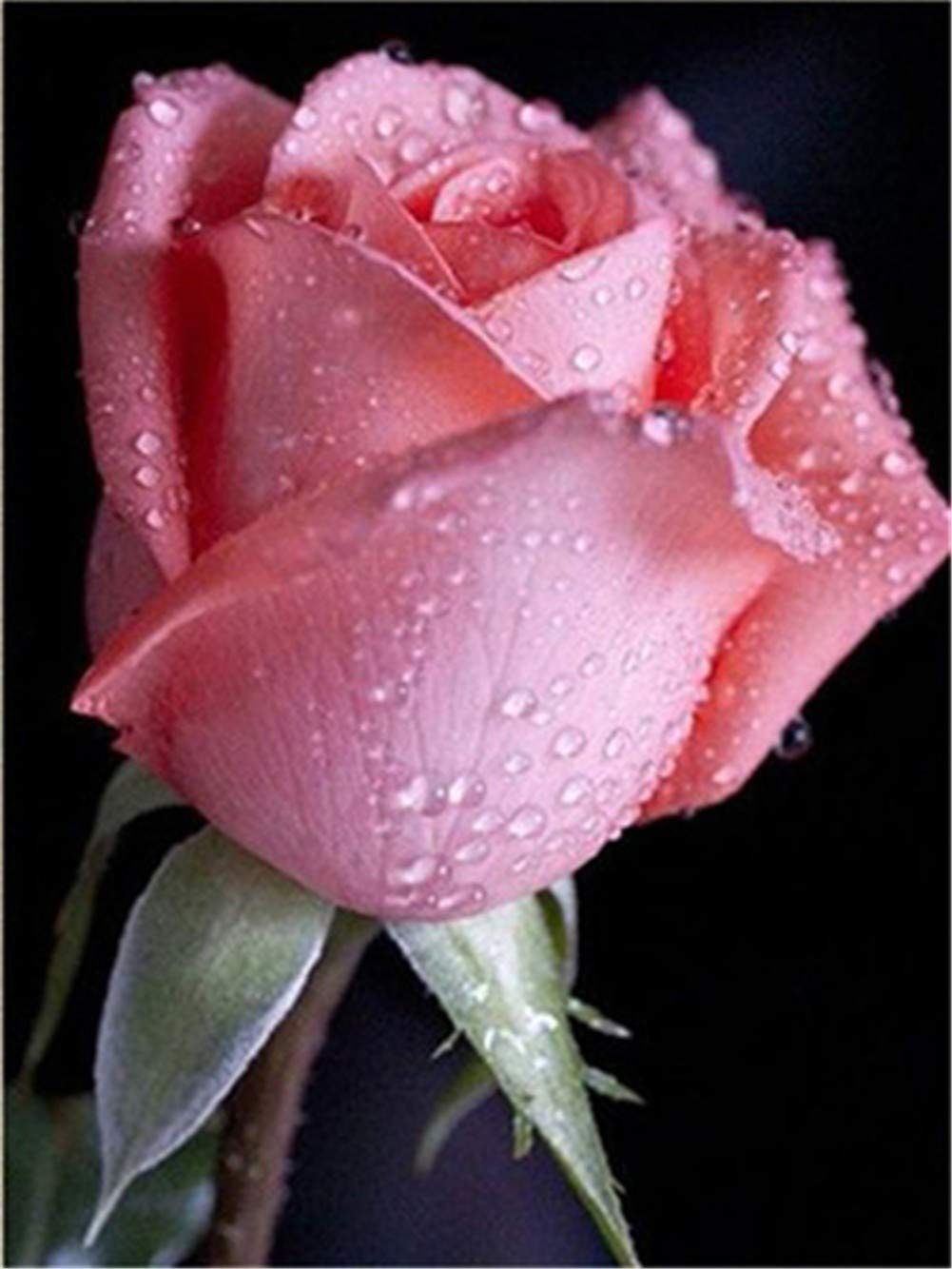 Broderie diamant 5D rose pour salon kit complet strass ronds décoration de chambre adulte DIY