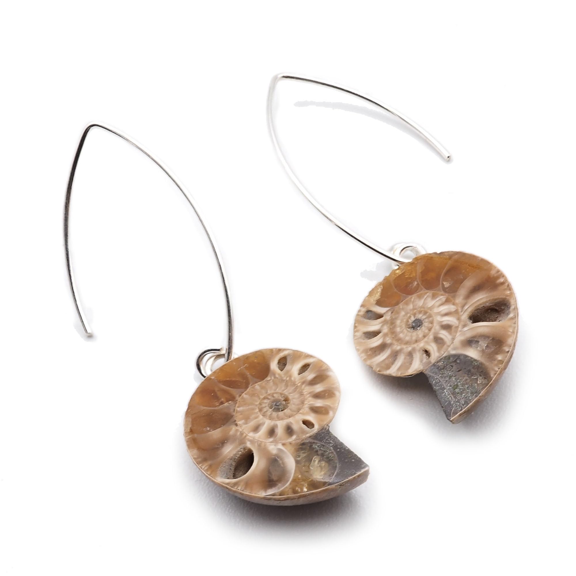 Pendientes Fósil Amonita y Plata 925