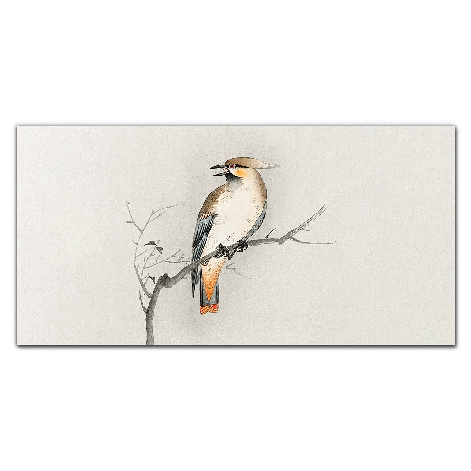 Crédence en verre trempé 120x60cm de cuisine durable décor oiseaux branches