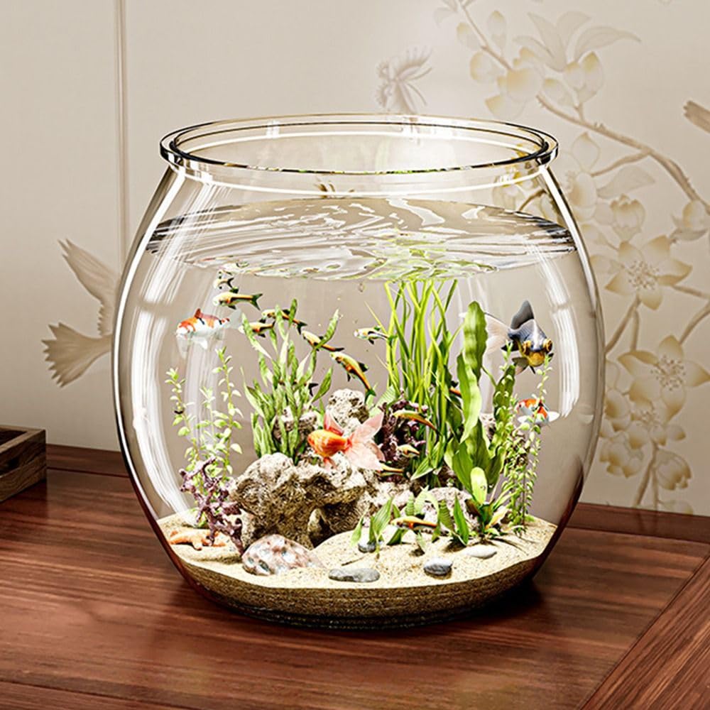Runde Fischschale, klare Fisch-Aquarien, Heimdekoration, Wassertierbehälter, Hydrokultur-Pflanzenvase für Tisch-Wohnzimmer (M)