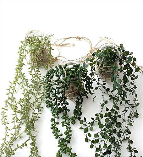 Amazon｜フェイクグリーン CT触媒 消臭 壁掛け 天井 壁 吊り下げ 玄関