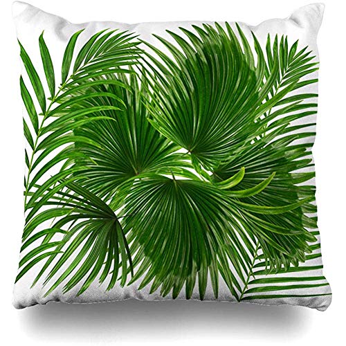 Copri cuscino 16x16 (40 x 40 cm) Appendi Bend Foglie verdi Palma su bianco Natura Arco Betel Botanica Ramo Bush Ramus Federa