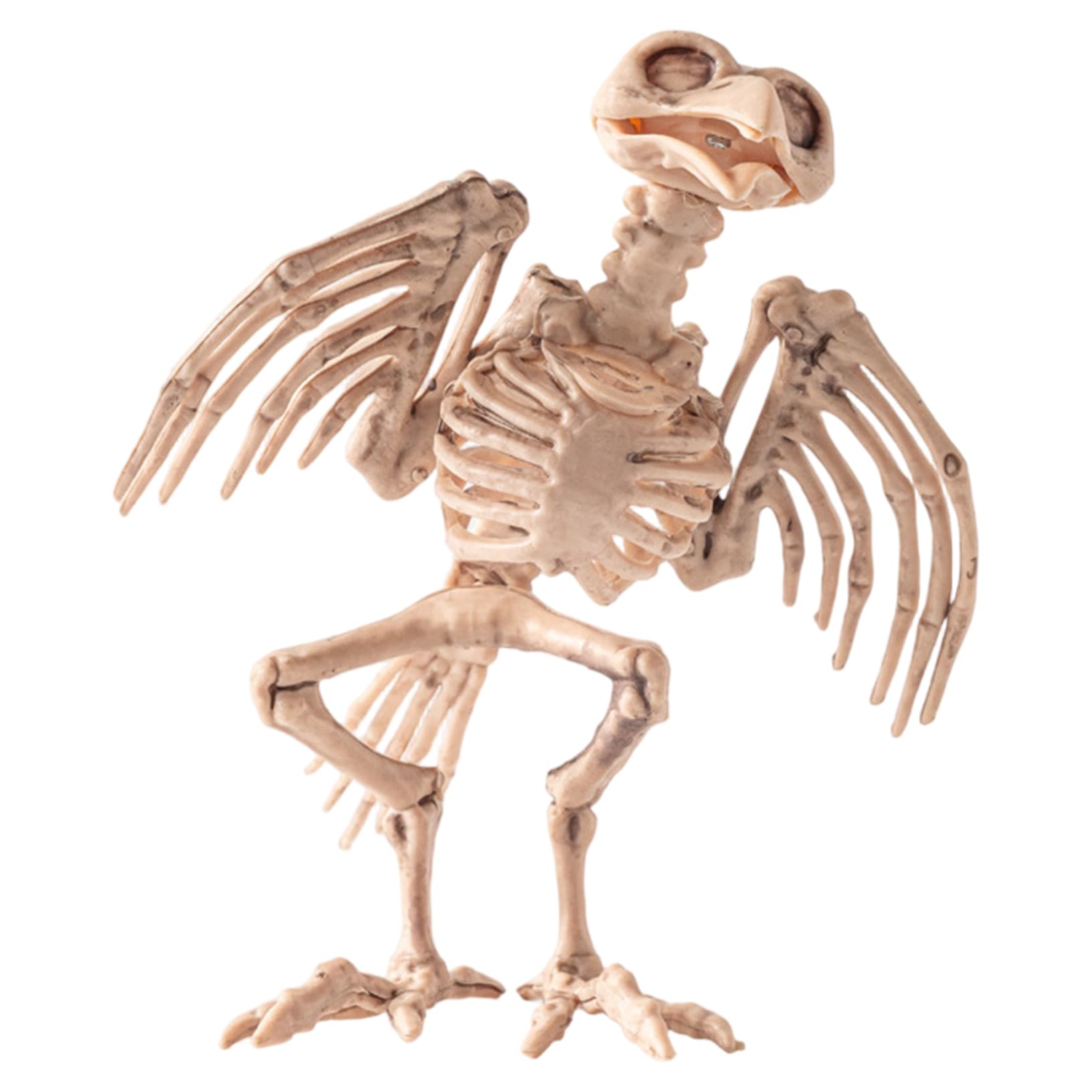 Ameble Halloween Skeleton 6.3x7.9 Inch Bird Crow Raven Skeleton Animals Realisitc Plastic Horror Props for Haunted House Yard Decorative Prop Halloween