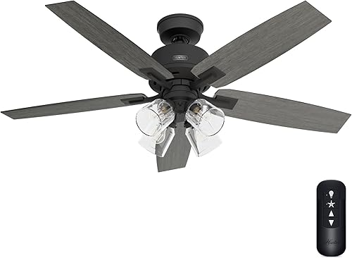 Hunter Fan Company 52429 Gatlinburg - Ventilador de techo, color negro mate