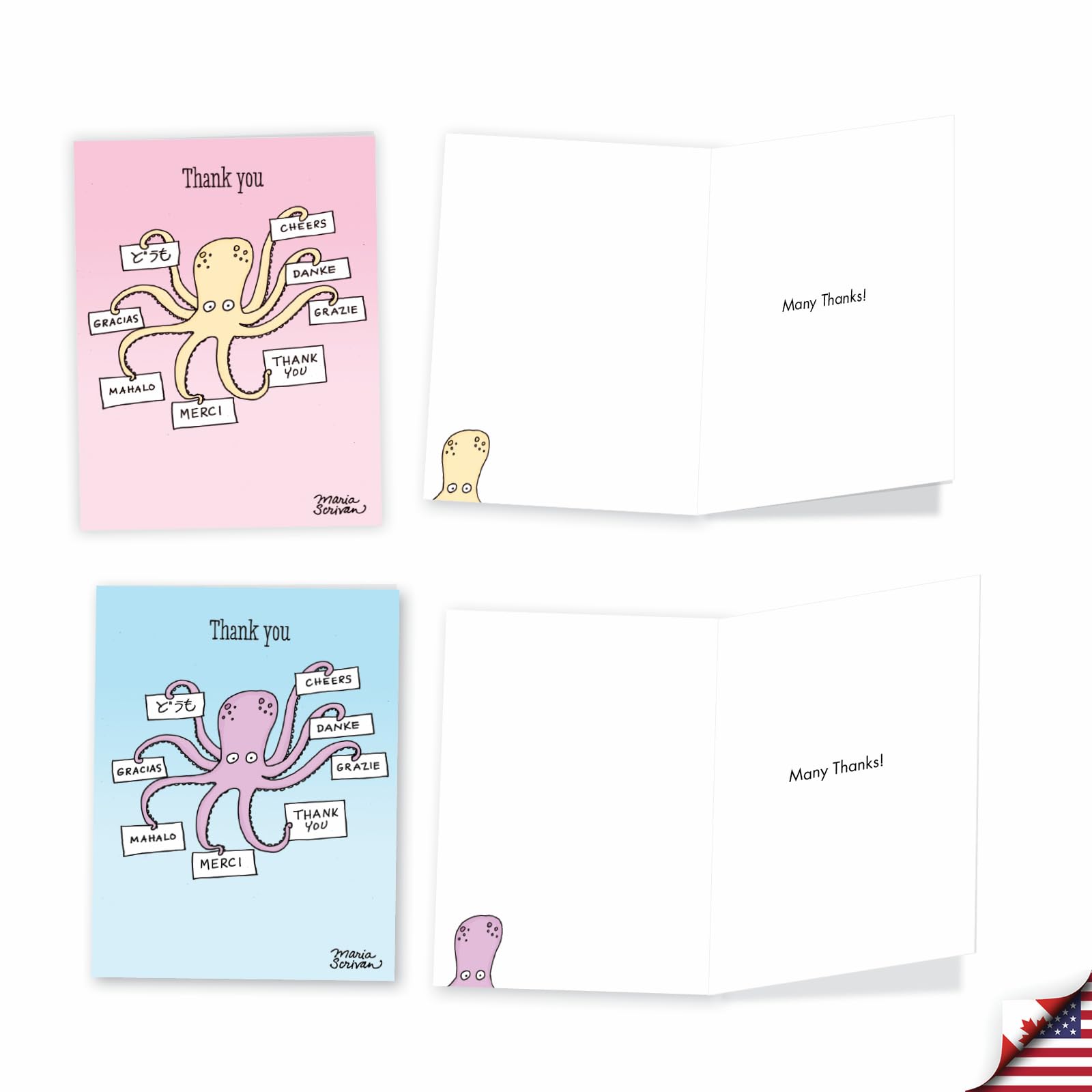 Amazon | am4013tyg-b6 X 6 Many Thanks : 36 Assorted Thank You