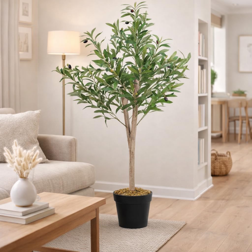 Every beautiful living room needs a touch of greenery.