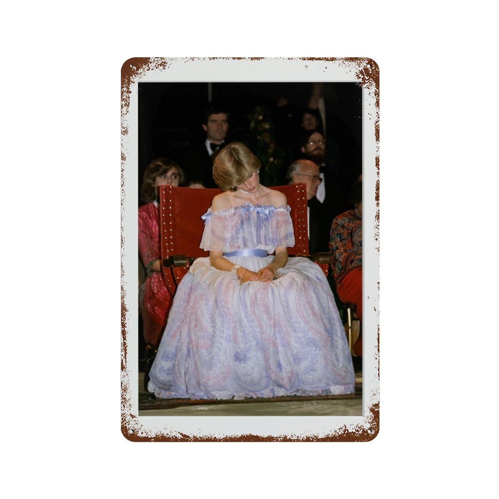 xiaoxiaoshen Princess Diana, Photography S2 Wall Decor Art Metal Tin Poster Modern Home Decor Art Home Bar Shop Decorations Vintage Sign 30x20cm