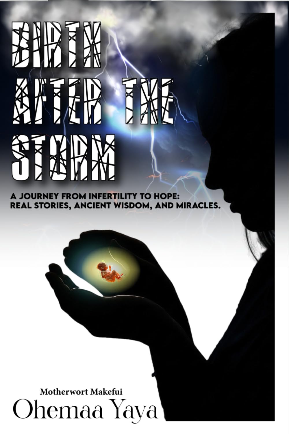 Birth After The Storm: A Journey of Infertility to Hope