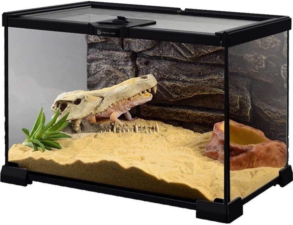 Przenośny mały zbiornik na płazy, terrarium dla gadów biurowych, szklane pudełko, zbiornik na zegarek do karmienia-klatka dla gadów płazów jaszczurka żółw wąż pudełko