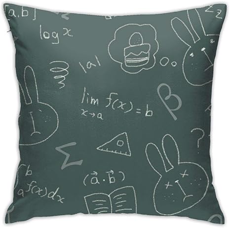 Amazon Co Jp クッションカバー ソファ背当て 数学 兎イラスト 公式 装飾枕カバー 座布団カバー 抱き枕カバー 柔らか おしゃれ ピロケース 可愛い シンプル ホーム 部屋 車 椅子 インテリア ホーム キッチン