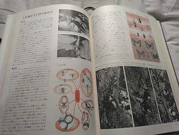 Amazon | 原色学習ワイド図鑑 4巻 昆虫Ⅰ昆虫Ⅱ | 生態・採集