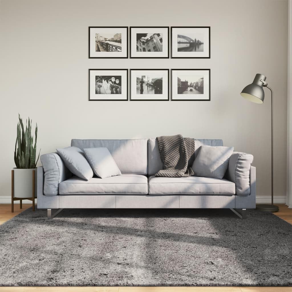 Gecheer HUARTE Tapis à poils courts doux lavable anthracite 200 x 200 cm