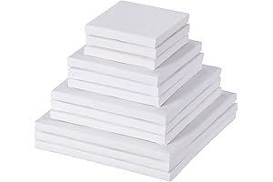 Hestya 12 Pieces Assorted Size Mini Art Canvas Stretched for Craft Painting...