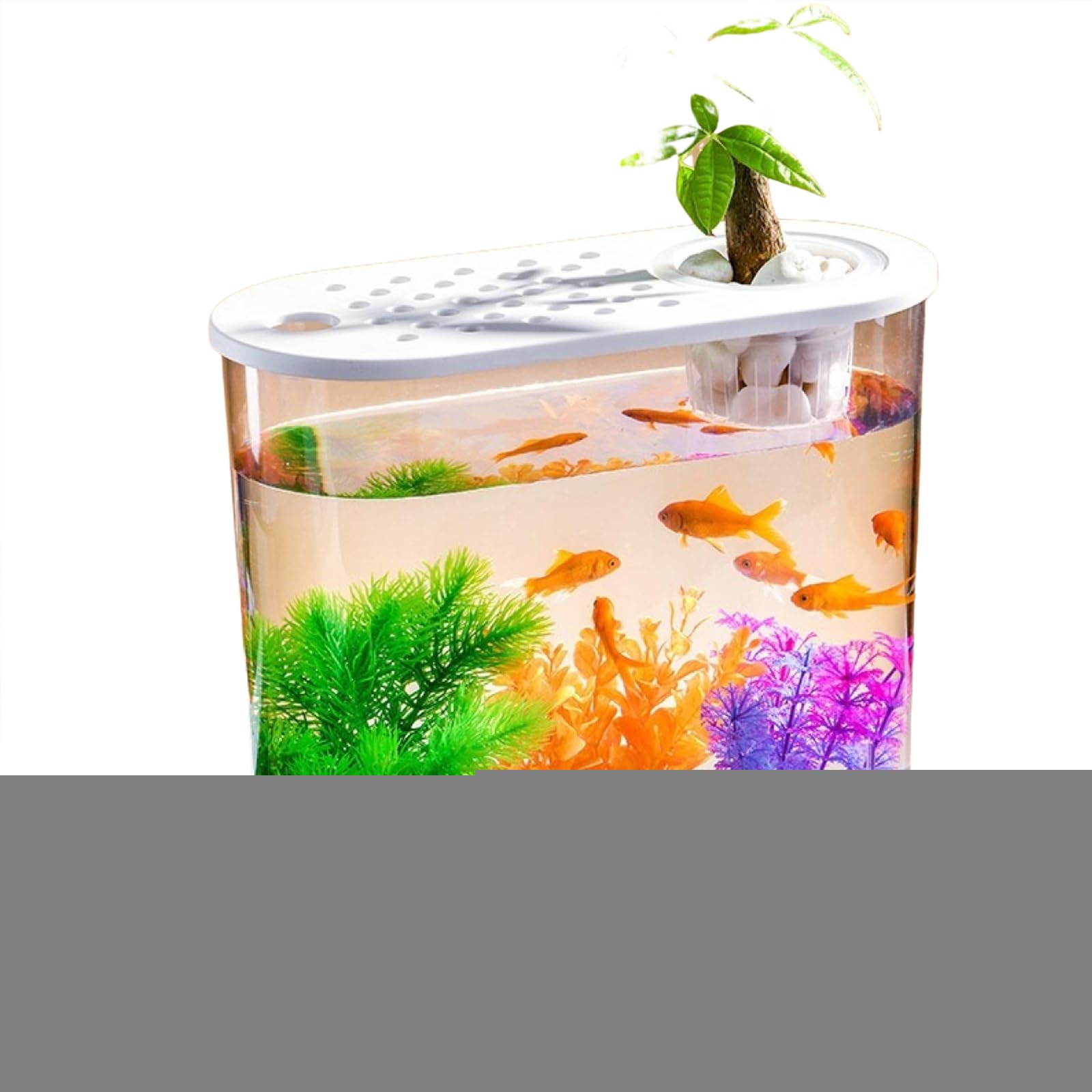 Pot de fleurs aquaponique transparent pour aquarium et tortue - Décoration de table