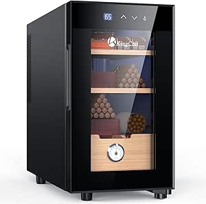 Amazon.com: KingChii 23L Electric Cigar Humidors with Temperature ...