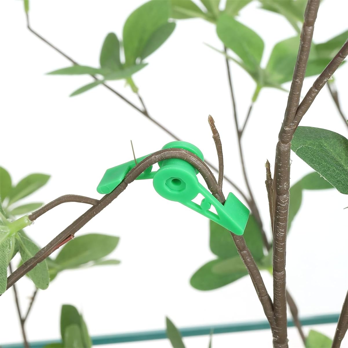 Amazon.co.jp: 360度調整可能植物曲げクリッププラスチック茎固定枝