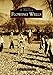 Flowing Wells (Images of America)